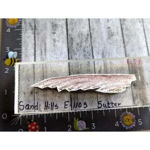 Sutter Sand Hills Landscape Acrylic Mount Rubber Stamp #A28